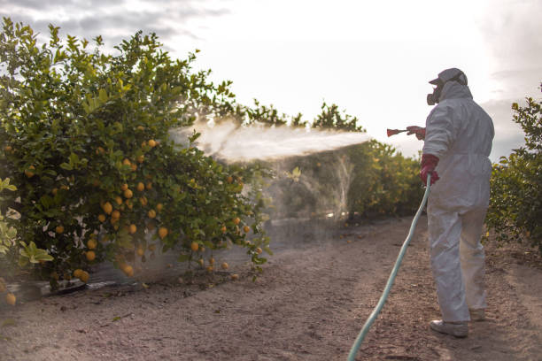 Best Affordable Pest Control Services  in Pacific, MO
