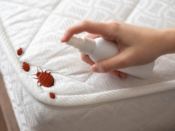 Best Cockroach Control Services  in Pacific, MO